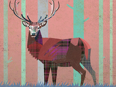 Winter Coat deer design forest illustration scotland simon frouws stag tree woods