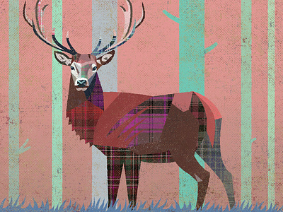 Winter Coat deer design forest illustration scotland simon frouws stag tree woods