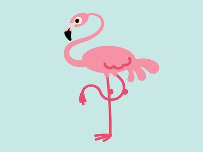 Flamingo