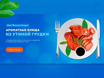 Duck dishes - food banner dishes firstscreen food product site tasty uiux uxdesign webdesign