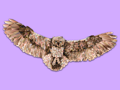 Geometric Owl bird geometric graphic graphicdesign illustrator owl wings
