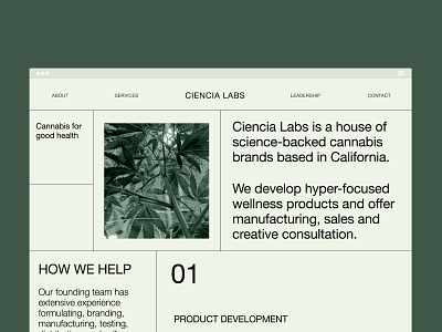 Ciencia Labs brand design brand identity branding and identity branding concept branding design cannabis branding cannabis design clean corporate identity graphic design minimalism web design website website design
