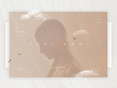 Sani | Website Live Experience