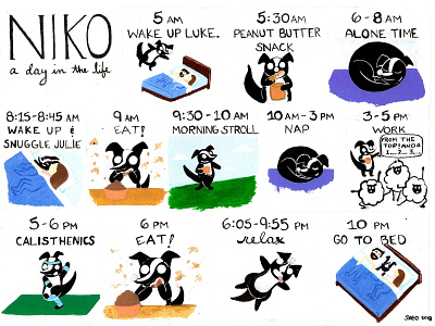 Niko: A Day In The Life 2d 2dart animation cartoon character design comic art design flat gouache illustration watercolor