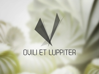 'Ovili Et Luppiter' Logo Design abstract branding clean green logo modern origami shape