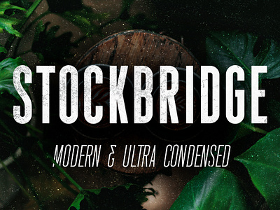 Stockbridge - Ultra Condensed Sans Serif