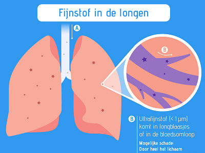 Infographic on dust particles in lungs dust particles infographic lungs