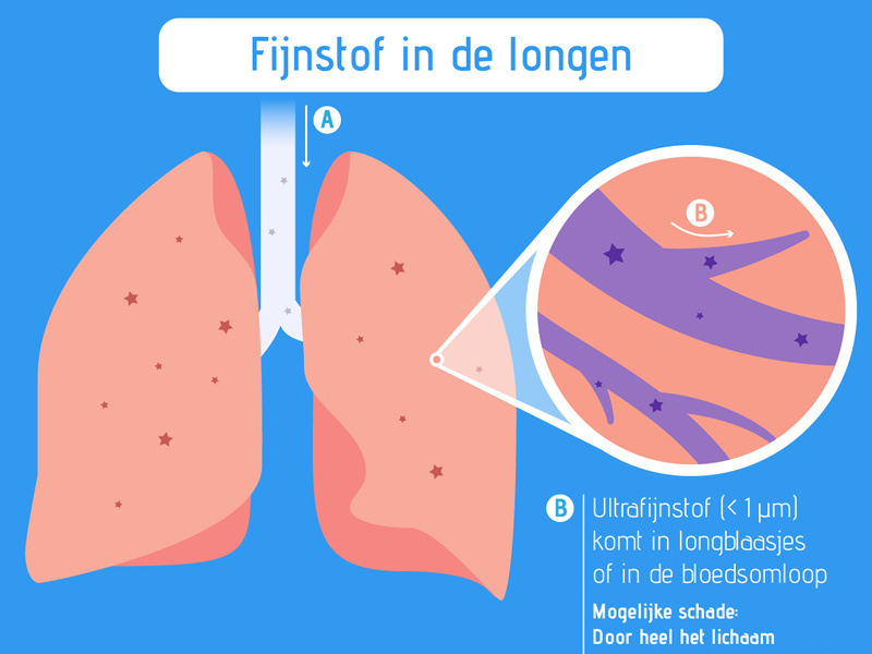 Infographic on dust particles in lungs by Kevin van der Wiel on Dribbble