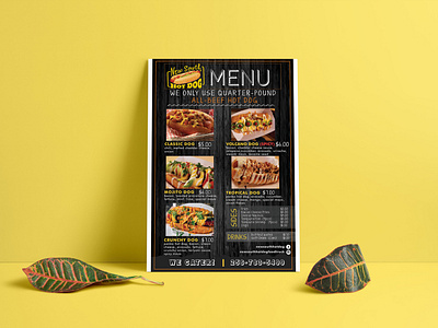 Food menu poster Design