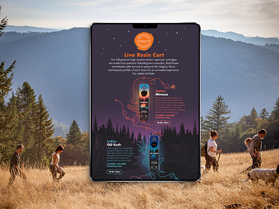 Humboldt branding digital icons illustration interface product socail media ui ux webdesign