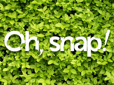 Oh, snap! green leaf leaves snap typo