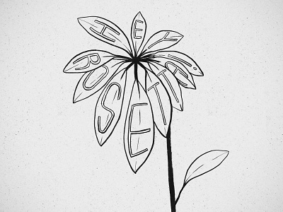 Sketch for a Hey Rosetta! T-shirt idea hand drawn hey rosetta! illustration plant t shirt typography