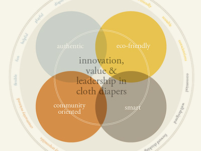 Cloth Diaper Branding brand branding circles core values infographic information turd