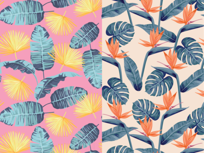 Tropical Patterns leaves palms tropical
