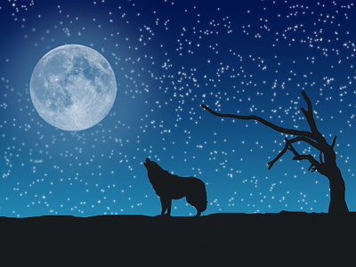 Moon Night (Animation)