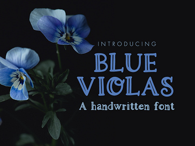 Blue Violas OTF font font otf typography