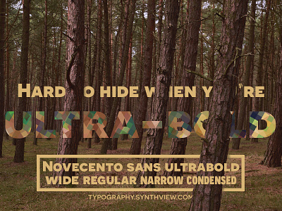 Novecento Sans Ultrabold bold font forest novecento photo sans trees typography ultra