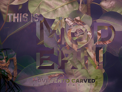 This is Novecento Carved font layered modern photo type typography