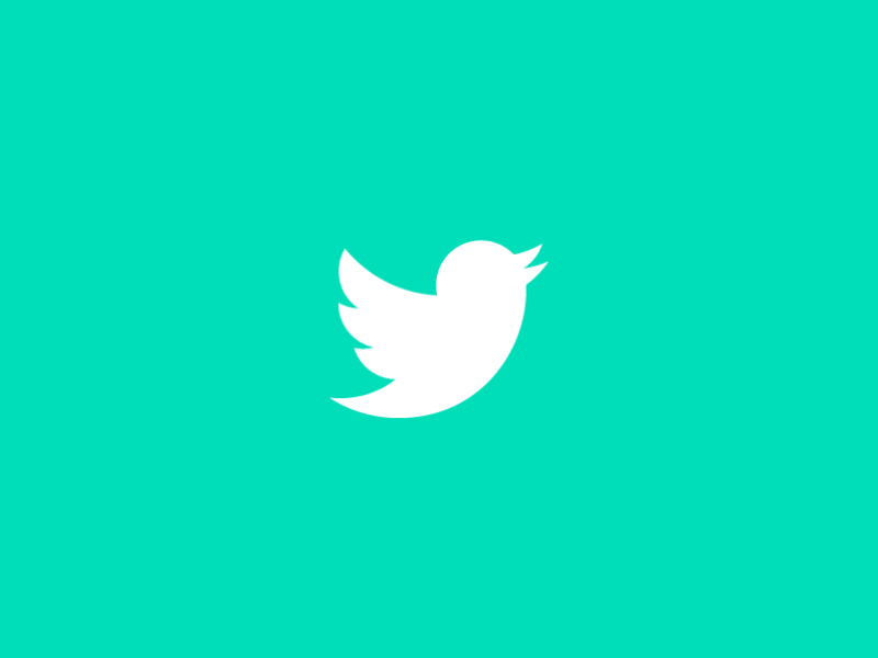 NEW Improved Twitter Intro animation bird gif intro logo moation graphics twitter