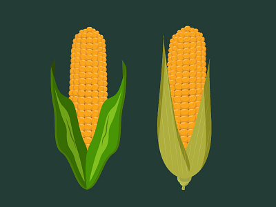 Corns corn design details flat green illustration vector yellow