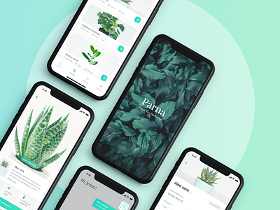 Parna - plant watering reminder app alarm alert android garden home interaction design ios management minimal mobile notifications plant product design productivity reminder sketch task todo watering