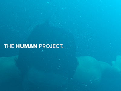 The Human Project—Branding Experiment #2 branding experiment logo the human project