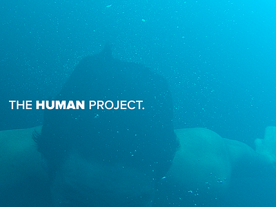 The Human Project—Branding Experiment #2