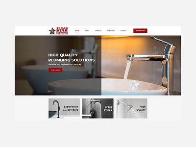 TS Plumbing business clean design plumbing service ui ux web website design