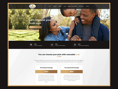 Advanced Financial Solutions LLC design financial services ui ux web website design