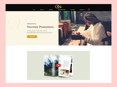Vascosity Promotions business clean design ui web website design