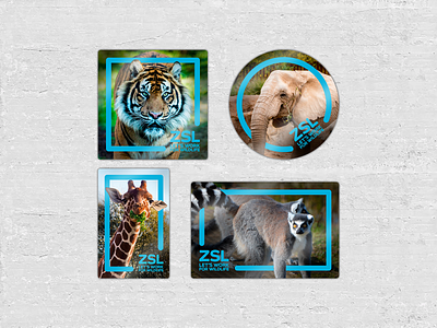 Stickers for London Zoo blue branding design elephant giraffe lemur photoshop printing printing design product design sticker sticker design stickers tiger zoo
