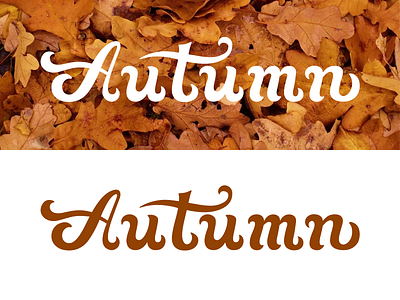 Autumn lettering logo autumn design design art illustration illustrator lettering lettering art lettering logo letters logo logo design photoshop vector vector art