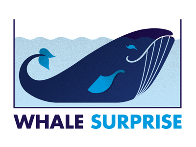 Whale Surprise