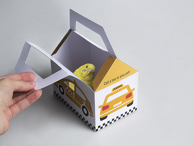 pet TRANSPORT branding design illustration packagedesign packaginig