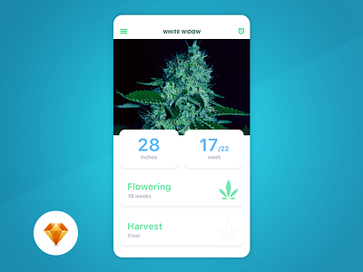 Grow Box - Day94 My UI/UX Free SketchApp Challenge app challenge day 100 grow harvest marijuana mobile sketchapp ui ux