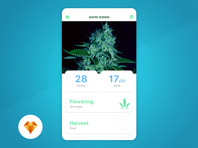 Grow Box - Day94 My UI/UX Free SketchApp Challenge