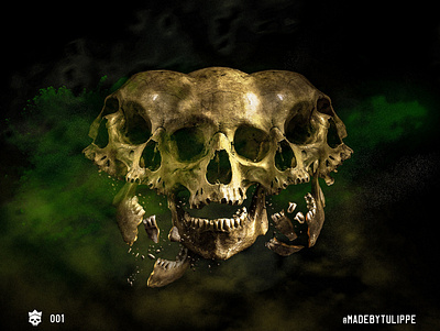 Skull Share 001 cover art graphic art photo composite photoshop skull skull art