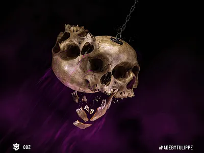 Skull Share 002 cover art graphic graphic art illustration photo composite photo editing photoshop print skull skull art skulls