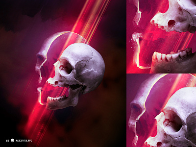 SkullShare 012 - Beames album cover cover art graphic graphic art illustration photo editing photoshop skull skull art skulls