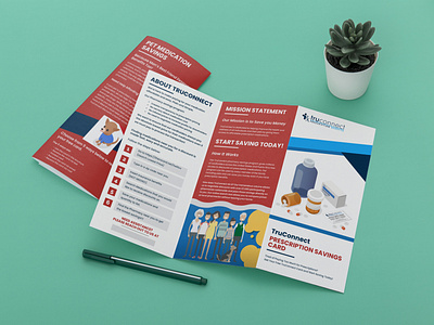 Tri-fold Brochure Template Vector Image