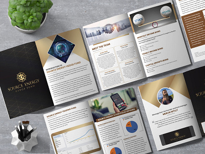 Brochure or Catalog Design