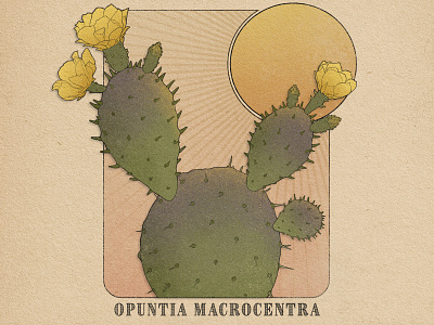 Prickly Pear