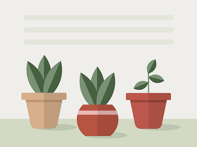 Plants in terracotta pots apartment design flat illustration illustrator nature vector