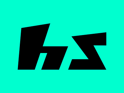 hs flat hs icon logo minimal typography