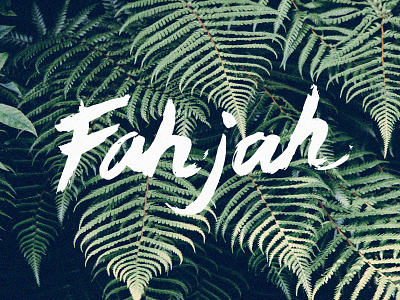 Fahjah branding brush identity lettering logo script typography winnipeg