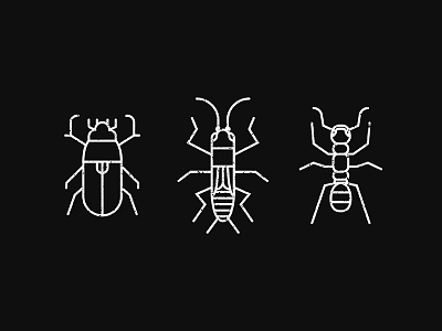 Bugs bugs flat graphic icon illustration line vector