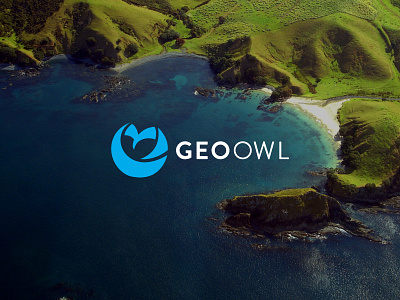 Geo Owl Branding branding logo