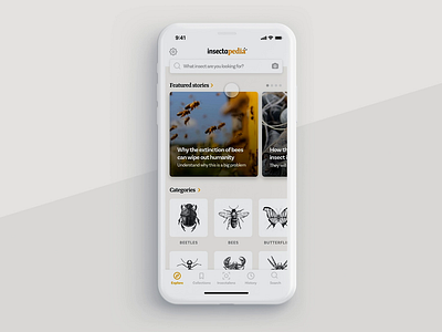 Insectapedia adobe xd adobe xd playoff andy app beetle insects mobile ui ux