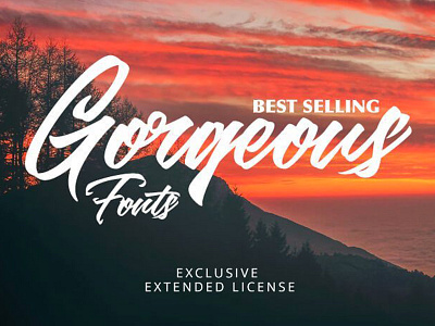 Gorgeous Font Bundle fonts