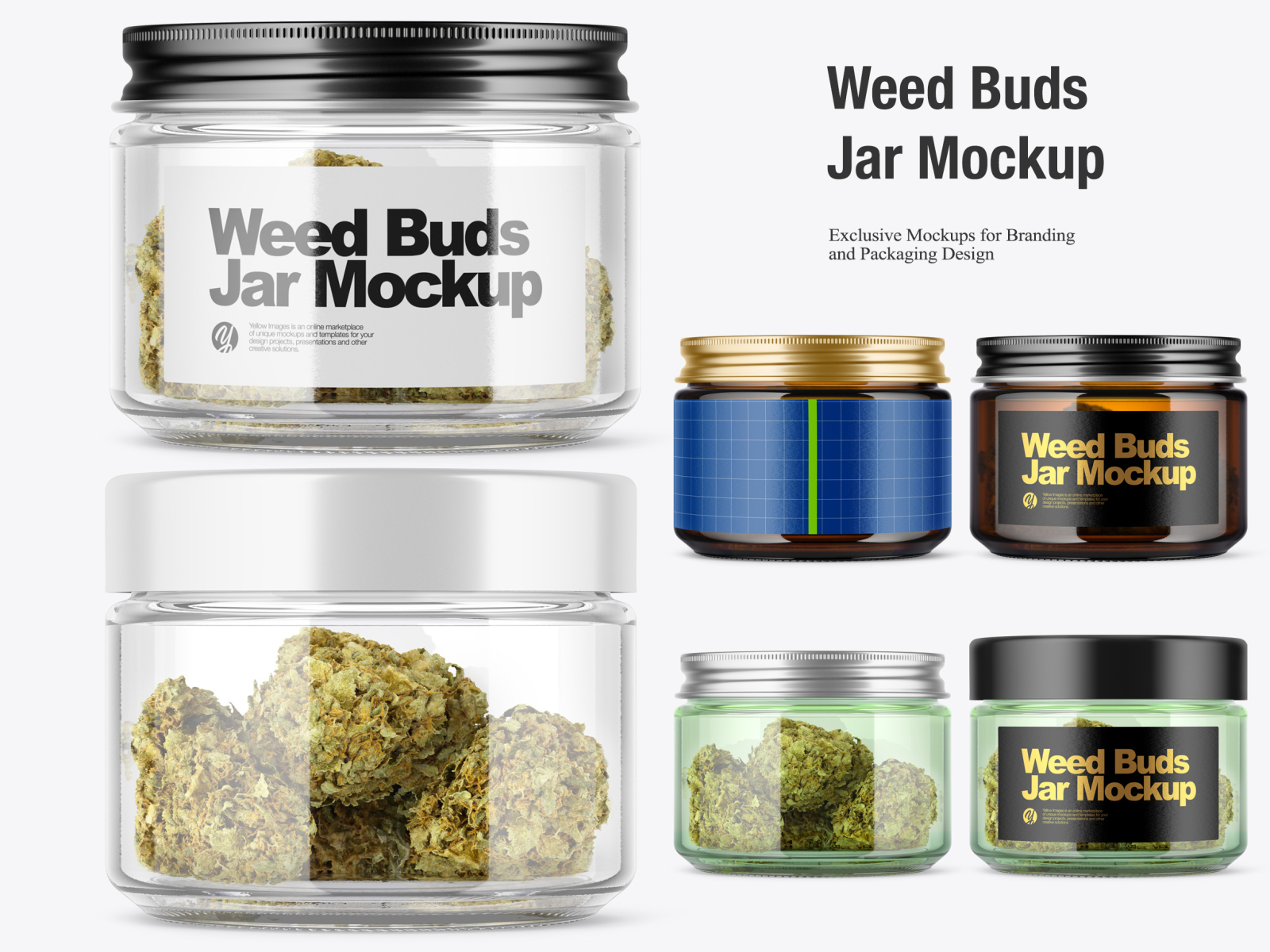 Weed Buds Jar Mockup By Oleksandr Hlubokyi On Dribbble